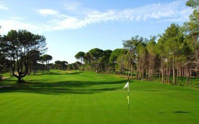 Sueno Pines