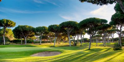 Dom Pedro Millennium