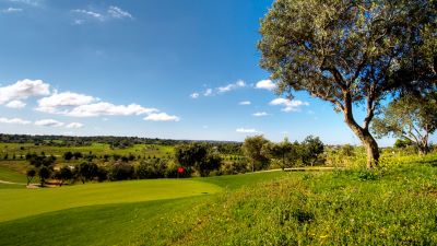 silves